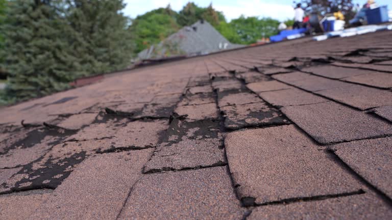 Best Green or Eco-Friendly Roofing Solutions  in View Park Windsor Hills, CA